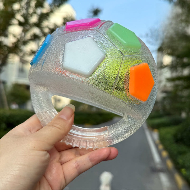 Interactive Dog Fetch Ball