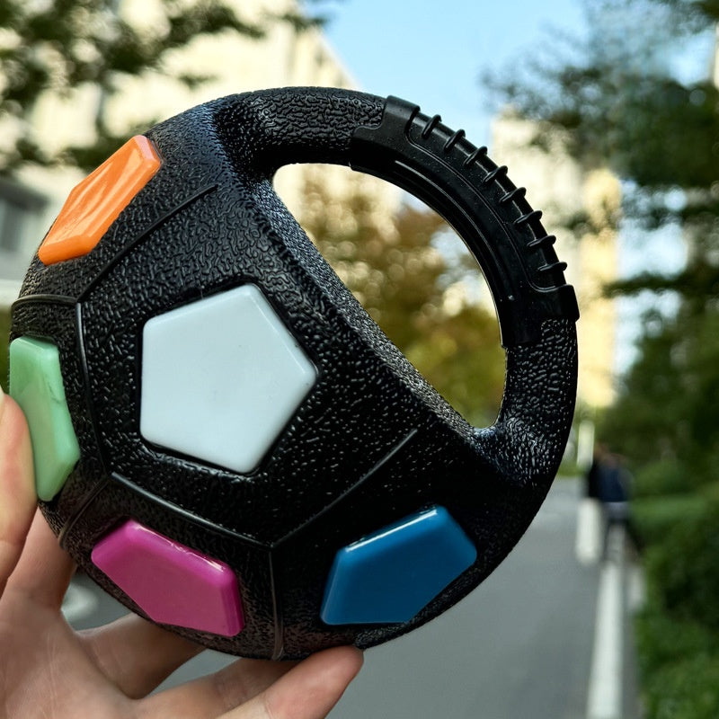 Interactive Dog Fetch Ball