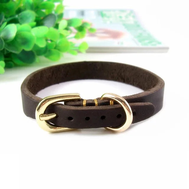 https://ae01.alicdn.com/kf/H3295058d49a9422b8be7fcecdd4db6c6O/Medium-and-Small-Dog-Collar-Genuine-Leather-Dog-Collar-Adjustable-Soft-Brown-Real-Leather-Puppy-Collar.jpg_640x640.jpg