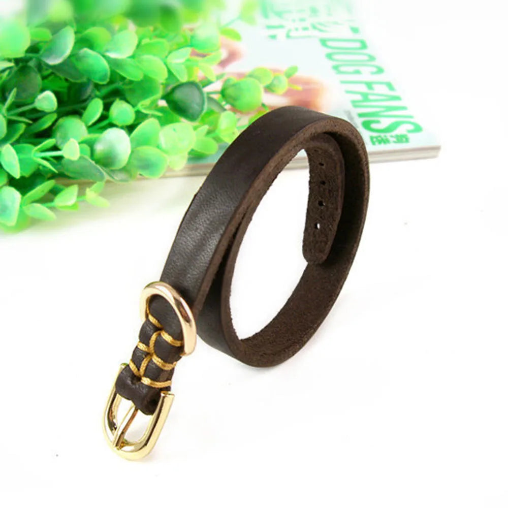 https://ae01.alicdn.com/kf/H211ac9fd359c403fb4a0eb726d4473a83/Medium-and-Small-Dog-Collar-Genuine-Leather-Dog-Collar-Adjustable-Soft-Brown-Real-Leather-Puppy-Collar.jpg
