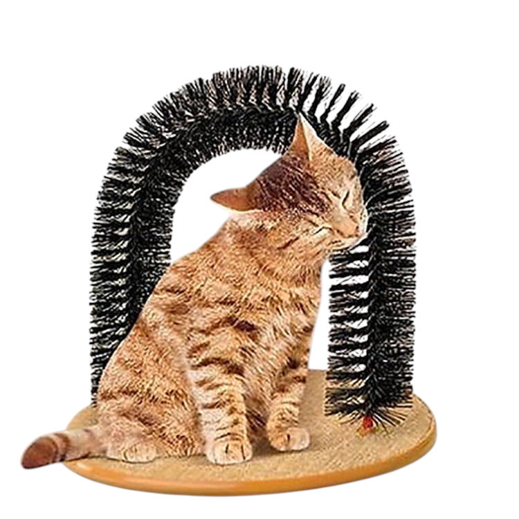 The Tailored Tail cat arch grooming brush with a ginger cat rubbing against the black bristles on a tan base