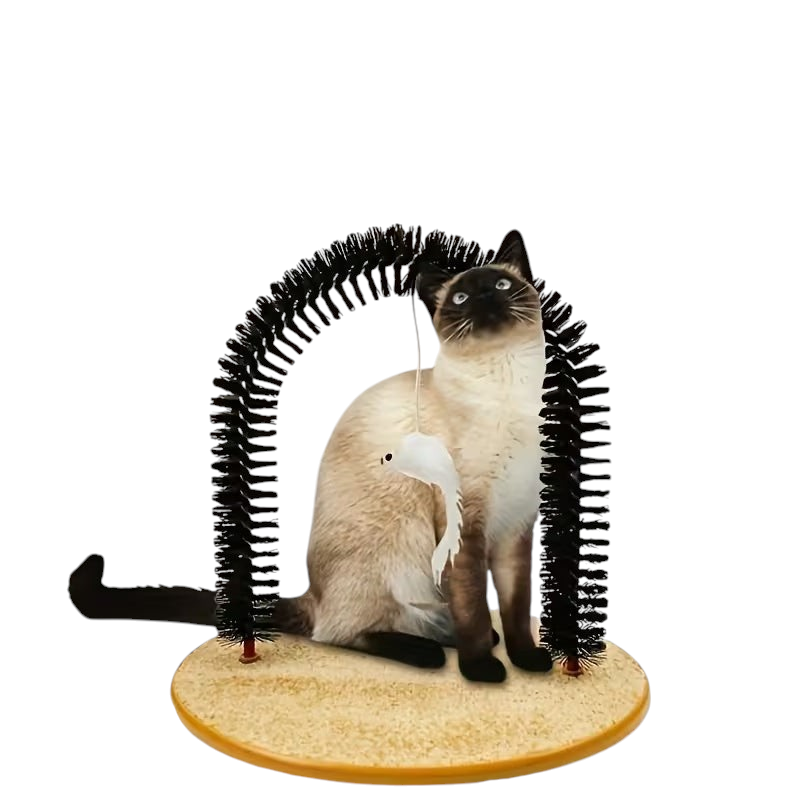 The Tailored Tail cat arch grooming brush with a Siamese cat playing with the attached toy on a beige carpet base