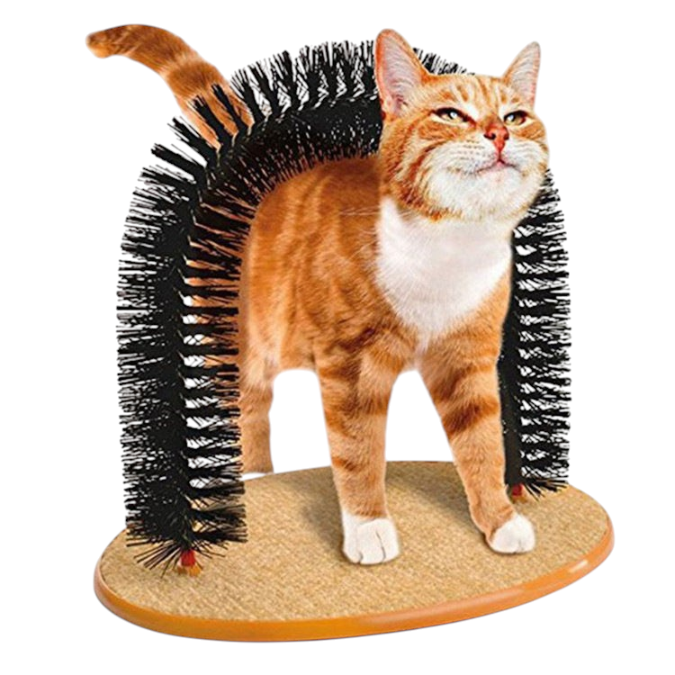 The Tailored Tail cat arch grooming brush with black bristles and a tan base, featuring an orange tabby cat rubbing.
