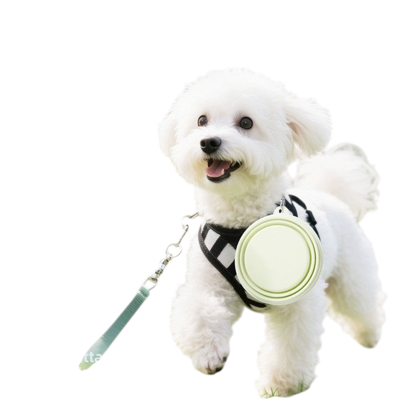 The Tailored Tail collapsible green silicone pet bowl attached to a white dog's harness in a park setting.