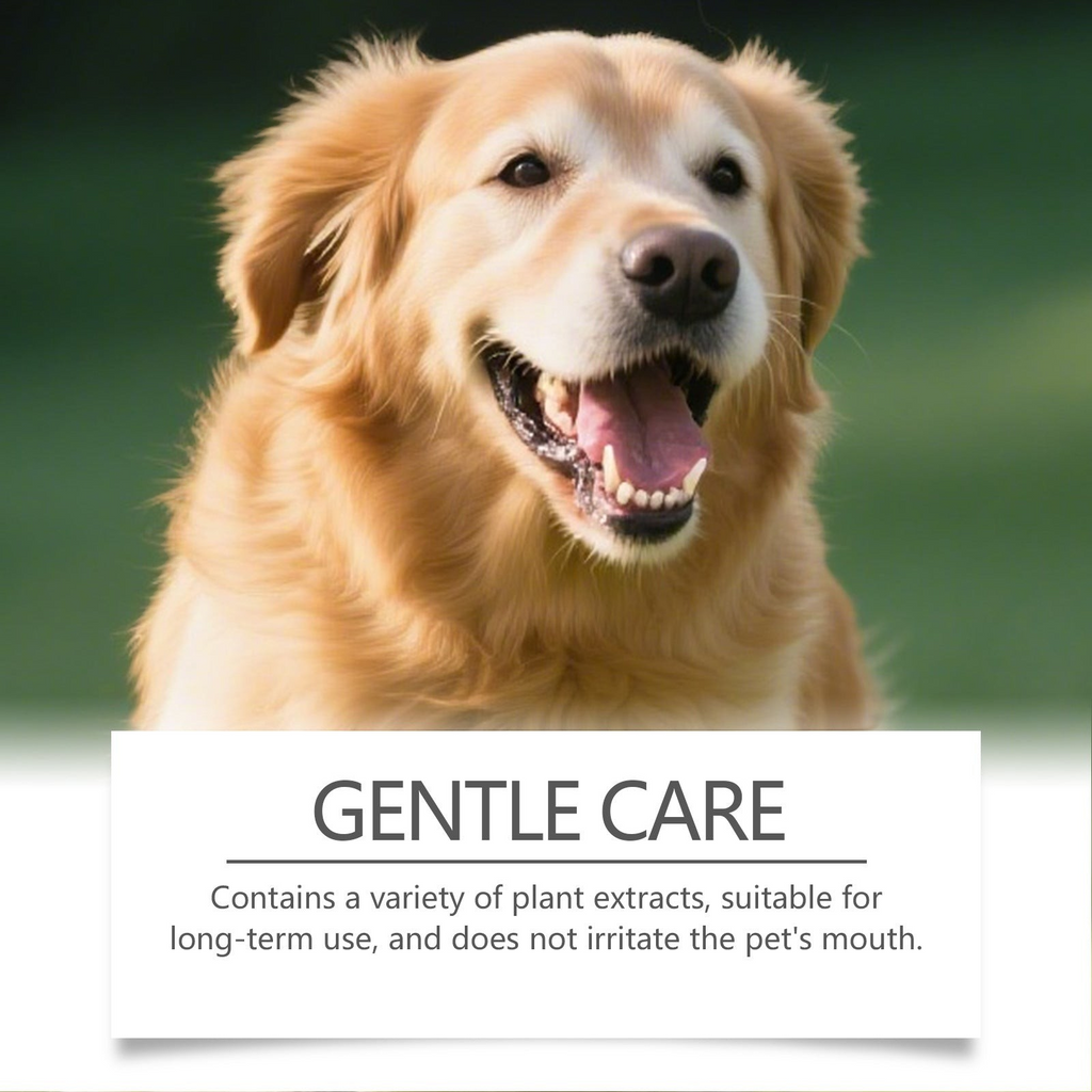 The Tailored Tail pet dental powder promotes gentle oral care for dogs with plant extracts for fresh breath