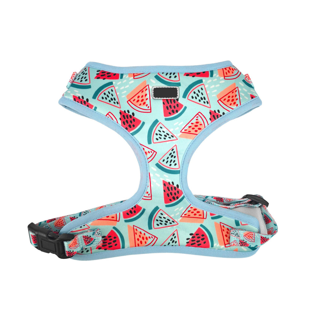 The Tailored Tail breathable mesh dog harness featuring a vibrant teal watermelon print with adjustable clip buckles.